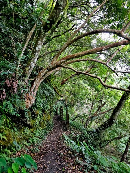瓦拉米步道(登山口至佳心段)-(花蓮)臺灣百大必訪步道2789418