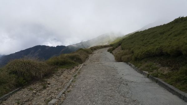 合歡主峰步道 2017 06 06133228