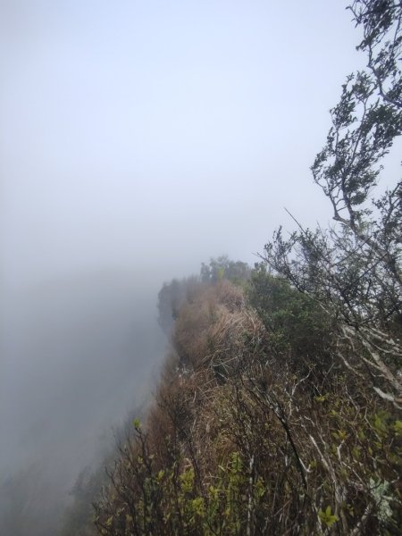 白藍狐貍出狐貍尾/狐貍縱走2796372