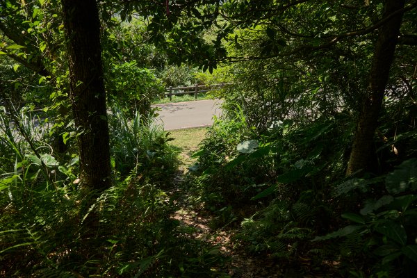 基隆山東峰(雷霆鋒)-基隆山O型(山尖路登山口)1693163