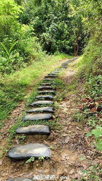 【南投草屯】蝴蝶紛飛可惜抵擋不了低海拔蚊子攻擊。 虎山步道x中興新村2856650
