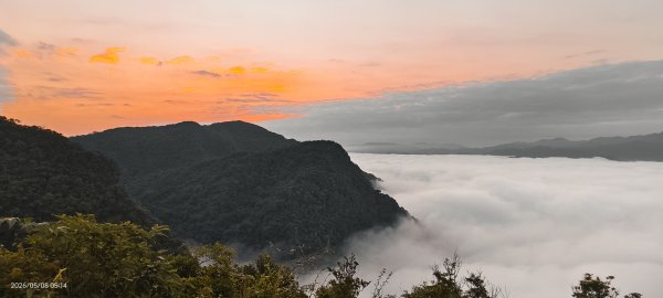 #翡翠水庫壩頂 #月亮 #日出 #雲海 #藍腹鷴母鳥 5/8&133050279