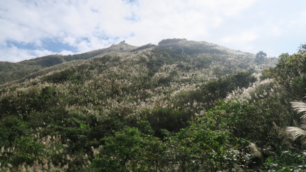 CP值超高的茶壺山步道74219