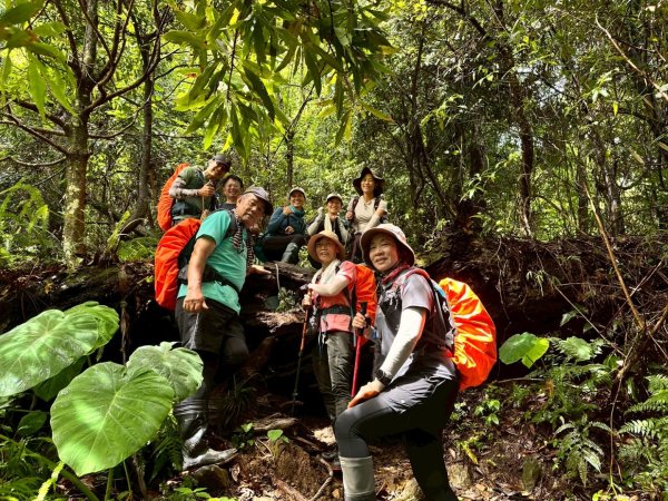 鵝公髻山採桃趣-202505302865290