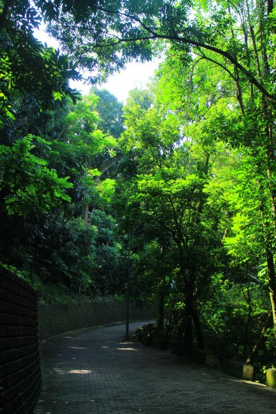 台南虎形山公園步道202009191159499