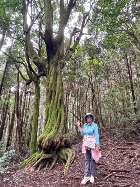 清泉 雪霸農場 野馬瞰山2925869