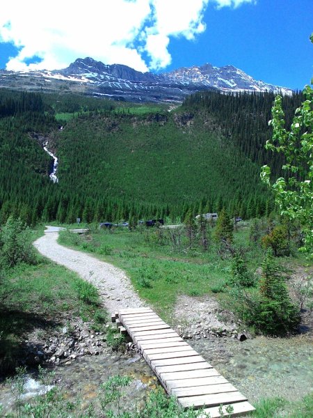 Iceline Trail (YOHO 加拿大幽鶴國家公園)2634579