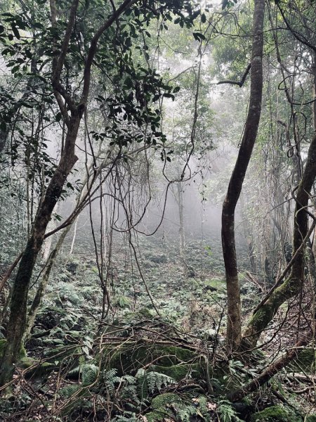 油羅山 2025 09/132890047