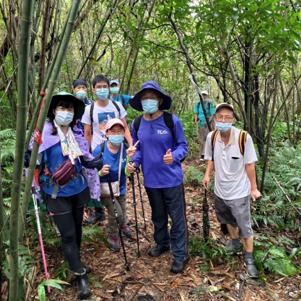 【小百岳集起來】#011 姜子寮山, 又稱“三角架山”, H729m1497176