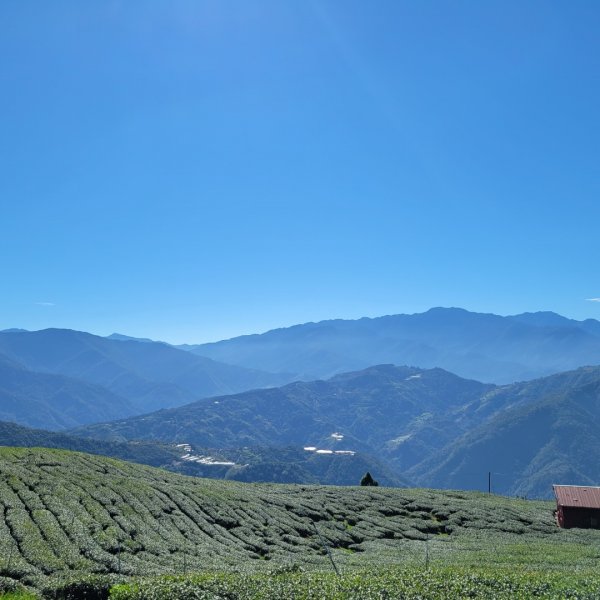 南東眼山（埔里六秀）1505599