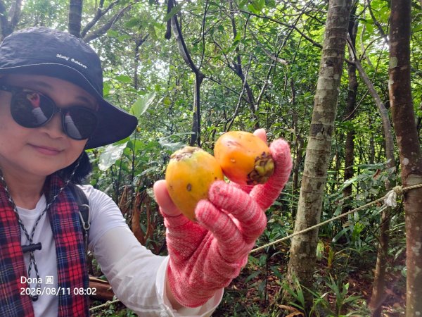 艋舺崙古道上新路尾山連走大平林山古厝O走3102726