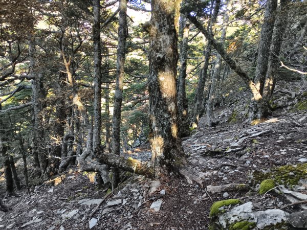 北一段(09/14)南湖東南峰 2025_0906~132887051