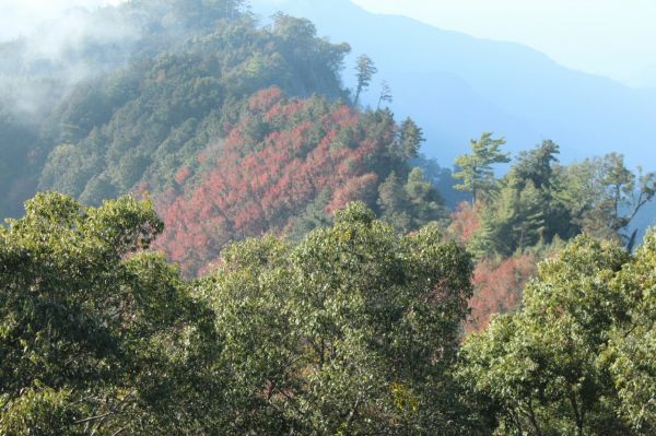 104.12.1台中稍來山南峰+稍來山主189045