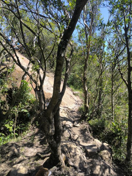 20251004微笑山線：【二格山系】筆架連峰段2904515