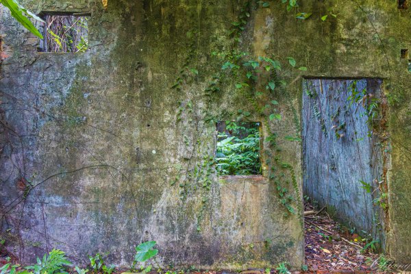 [新北]白雞山與裕峰煤礦遺址2891869