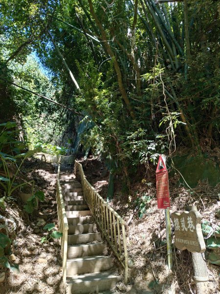 松柏嶺O形2908136