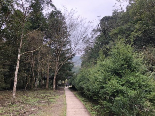 福山植物園511002