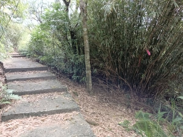 基隆市三角洲嶺北峰+獅球嶺+獅球嶺北峰+西砲台山+紅龍山+蚵殼港山+碉堡峰3018840