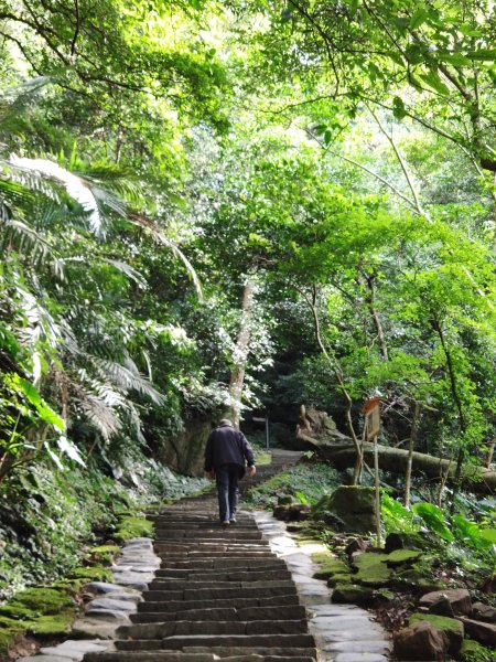 沐浴佛法的獅山古道506946