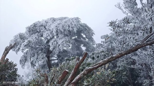 雪季北得拉曼2956483
