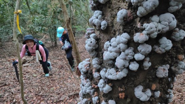 衣丁山單攻初體驗2025年3月30日2749812