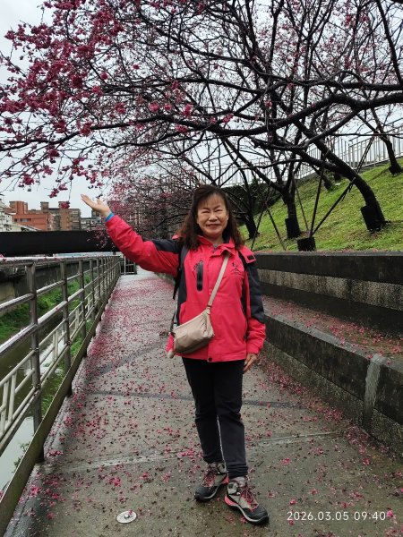 東湖樂活公園→內溝溪步道→五分埤生態濕地→內溝溪生態展示館、花博公園圓山園區→撫順公園3031536