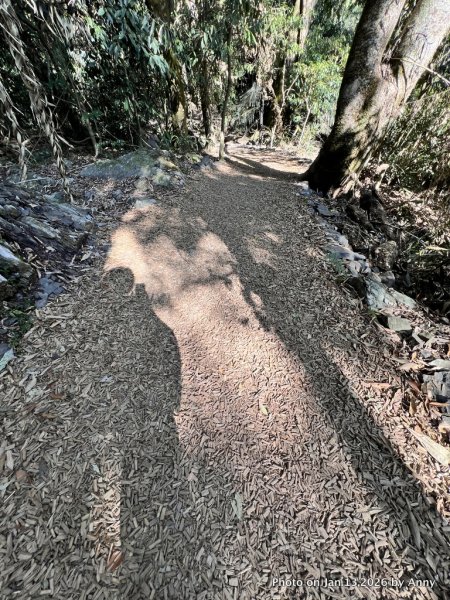雪山坑步道（巨人之手）2986479