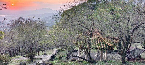 #翡翠水庫壩頂 #雲海 #日出 #陽明公園 #夕陽1/92979449