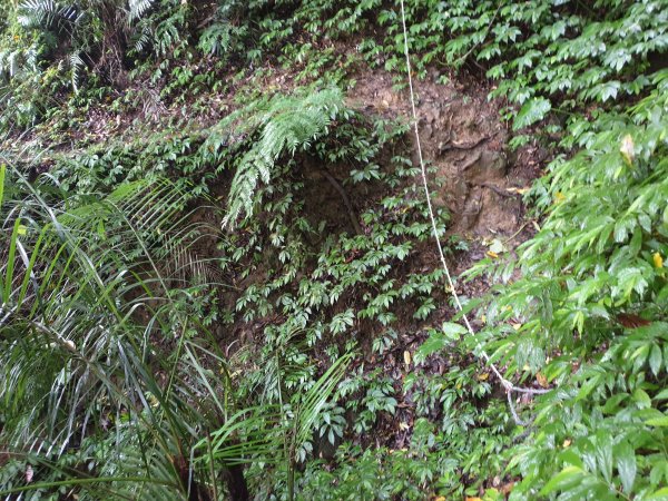 人生之中有點可怕的登山行程......玉女山、金童山及汶水山1552813