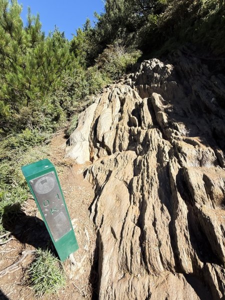 爬不膩的 合歡北峰2907034