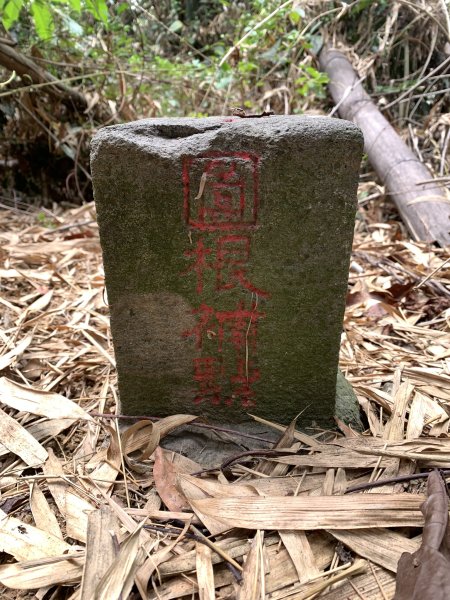 20250531屏東南勢湖山2803234