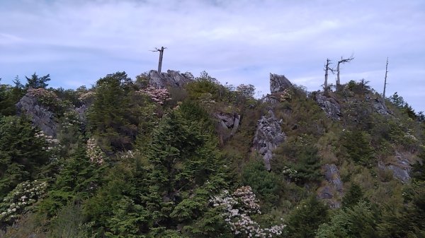 20240421台中南投馬崙山、白姑西峰、白姑大山三叉峰、白姑大山2485206