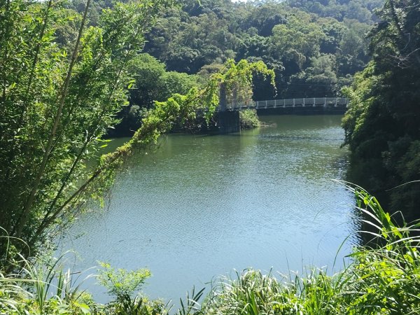 寶山水庫環湖步道3081804