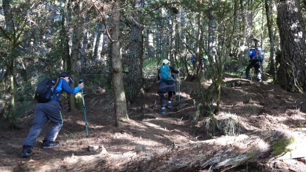 池有山單攻登山健行趣(百岳52)1515187