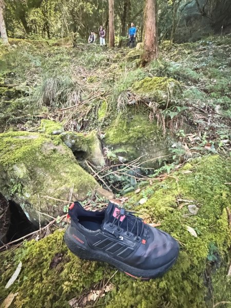 船型山林道賞雲海、烏石坑山、2432峰 山景海景一次到位2929285