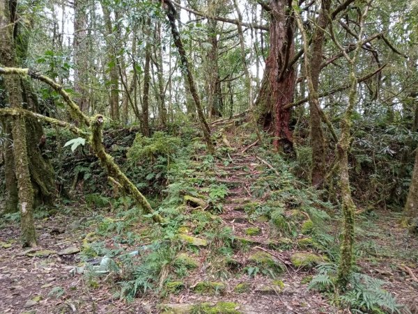大同舊太平山神社給給池日向台2748250