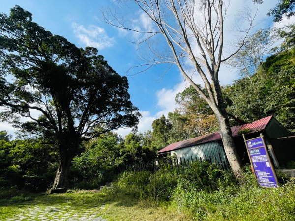1141129巨人之手｜雪山坑登山步道2949154