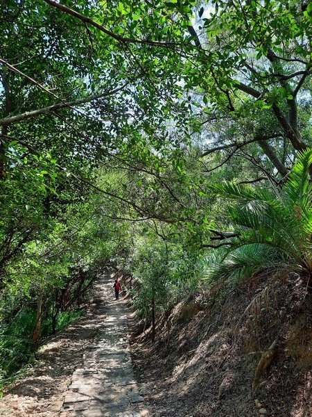 《台中》大肚萬里長城登山步道O巡09061090741