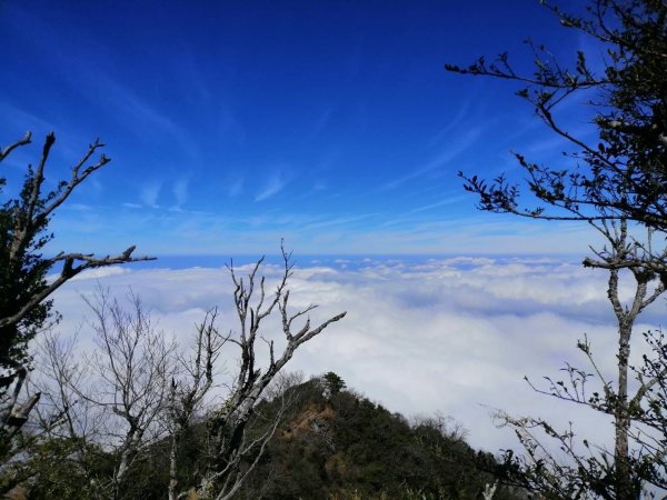 鹿場-加里山_彰化育樂協會_202401182431222