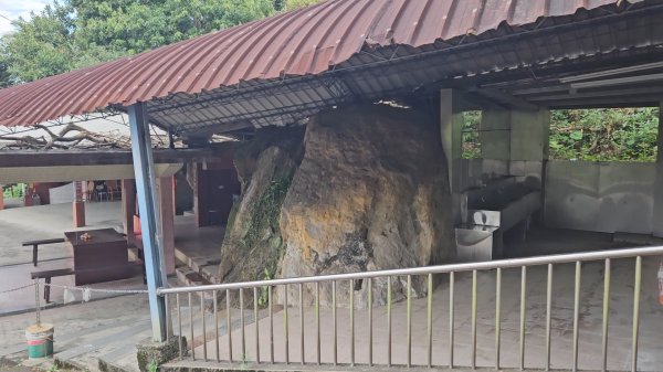 圓通寺烘爐地登山步道大O走3006970