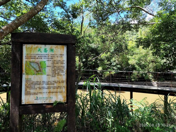 翠山步道、大崙頭尾山親山步道【臺北健走趣】2874324