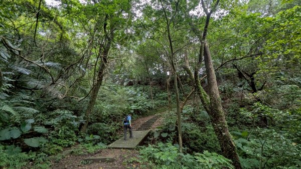 114.06.07過港山-四腳亭砲台-深澳坑砲台山之旅2806570