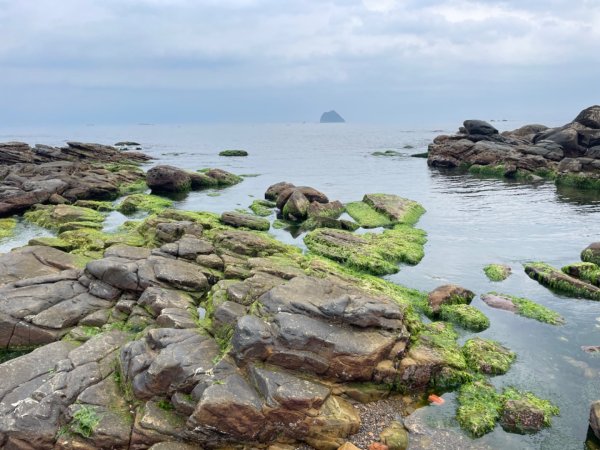 老梅綠石槽-萬里駱駝峰2759025