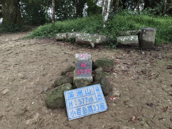 [百山百鳥尋旅-10/15] 2025_0920 溪洲山步道(福山巖登山步道)2893135