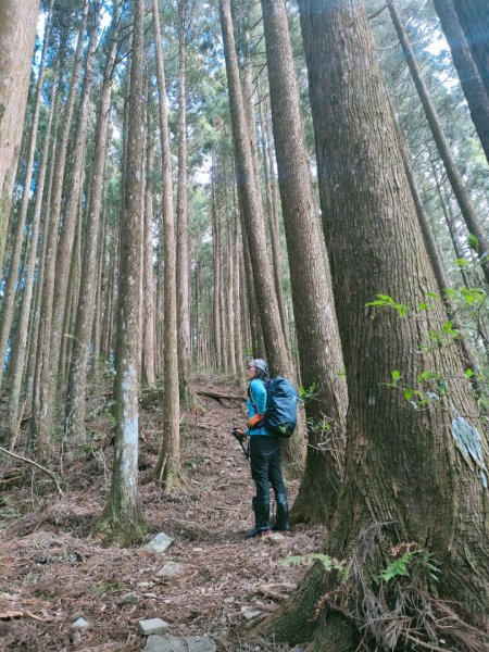 1110109 大混山縱走李崠山1577188