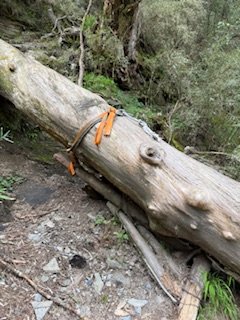 20250524 畢祿山單攻2796497