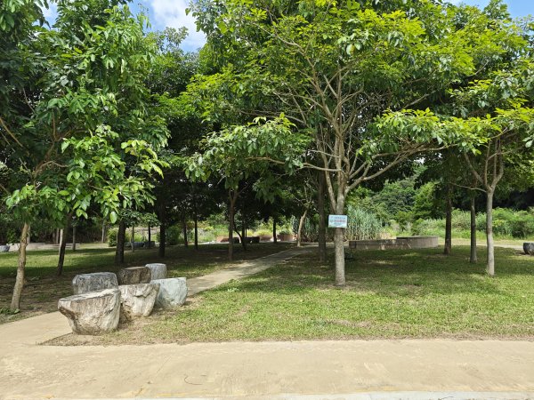 [皮皮獅動物派對-01/10] 2026_0815 寶山迴龍步道、環湖步道3112341