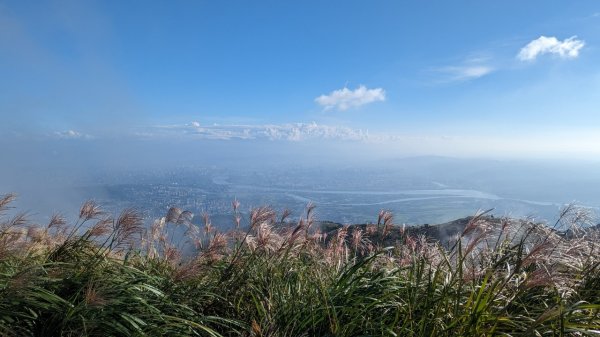 112.09.30大屯山賞秋芒雲海2301869