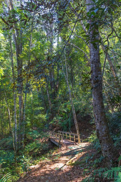 谷關七雄_唐麻丹山3015613