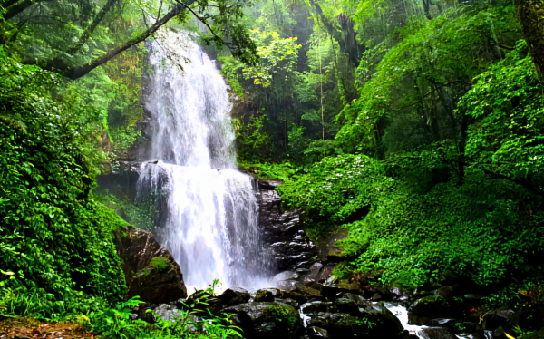 雲深不知處，雲森瀑布